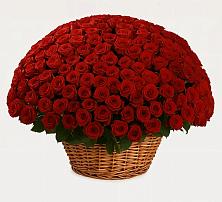 Премиум букет из: Розы в Бессергеневской